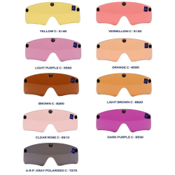 Castellani C-MASK II skydebriller