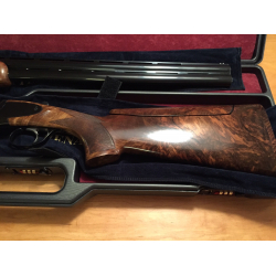 Renato Gamba concorde SL