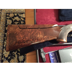 Renato Gamba concorde SL